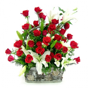 �󼼳��뺸��