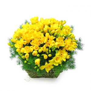 �󼼳��뺸��