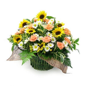 �󼼳��뺸��