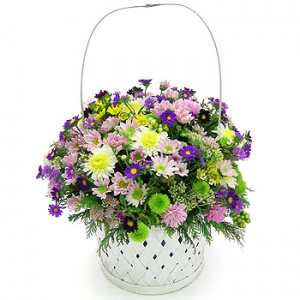 �󼼳��뺸��