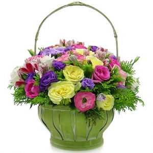 �󼼳��뺸��