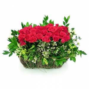 �󼼳��뺸��