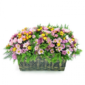 �󼼳��뺸��