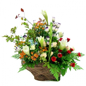 �󼼳��뺸��