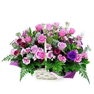 �󼼳��뺸��