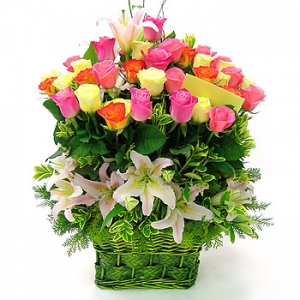 �󼼳��뺸��