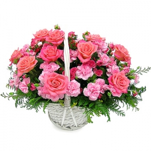 �󼼳��뺸��