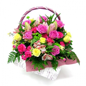 �󼼳��뺸��