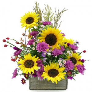 �󼼳��뺸��