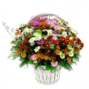 �󼼳��뺸��