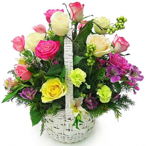 �󼼳��뺸��