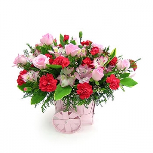 �󼼳��뺸��