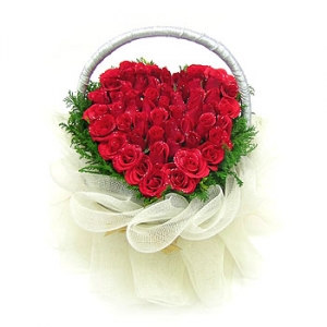 �󼼳��뺸��