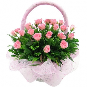 �󼼳��뺸��