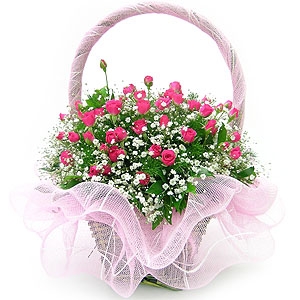 �󼼳��뺸��