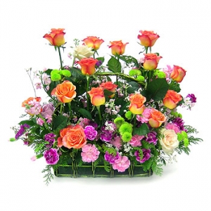 �󼼳��뺸��