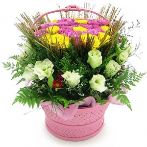 �󼼳��뺸��