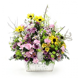 �󼼳��뺸��