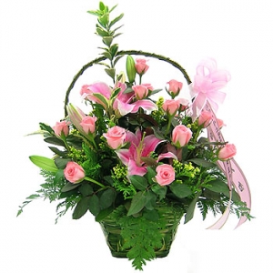 �󼼳��뺸��