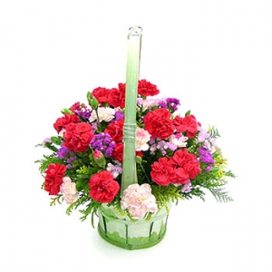 �󼼳��뺸��