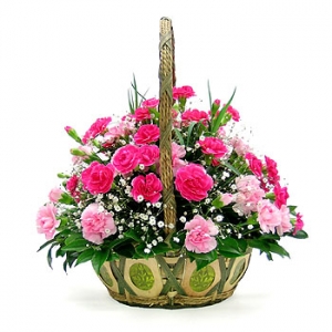 �󼼳��뺸��