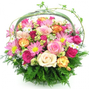 �󼼳��뺸��