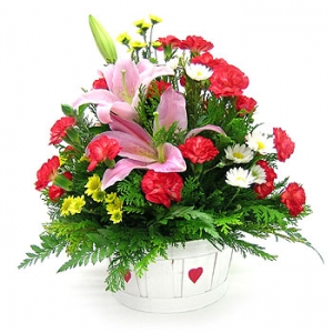 �󼼳��뺸��