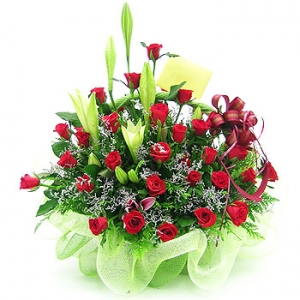 �󼼳��뺸��