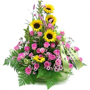 �󼼳��뺸��