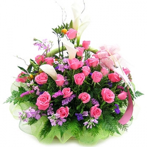 �󼼳��뺸��