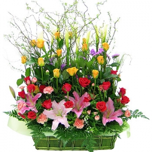 �󼼳��뺸��