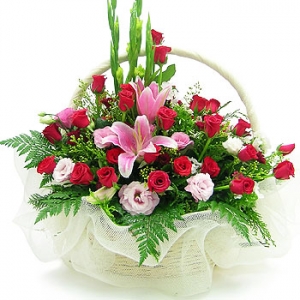 �󼼳��뺸��