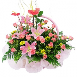 �󼼳��뺸��