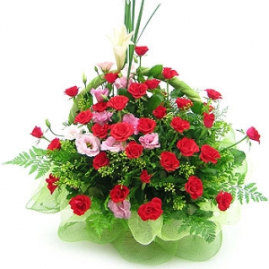 �󼼳��뺸��