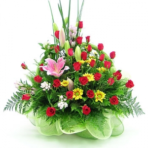 �󼼳��뺸��