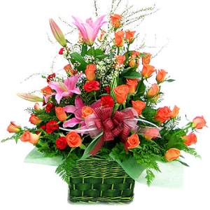 �󼼳��뺸��