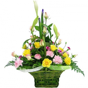 �󼼳��뺸��