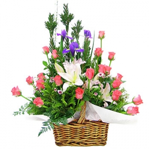 �󼼳��뺸��