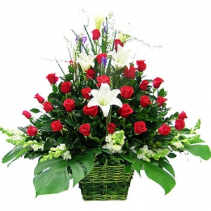 �󼼳��뺸��