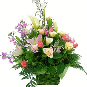 �󼼳��뺸��