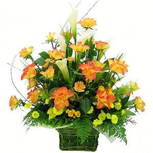 �󼼳��뺸��