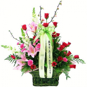 �󼼳��뺸��