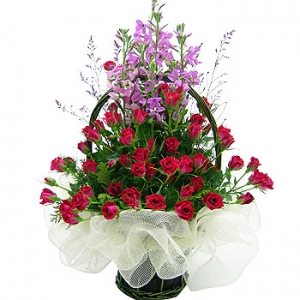 �󼼳��뺸��