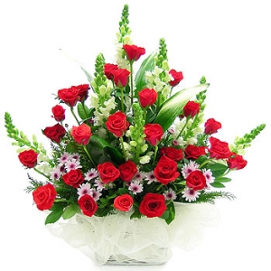 �󼼳��뺸��