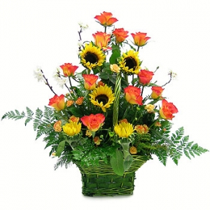 �󼼳��뺸��