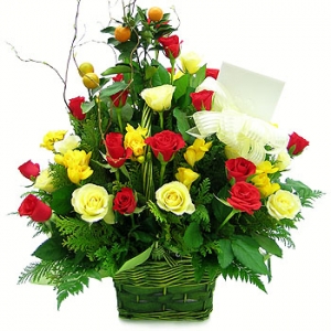 �󼼳��뺸��