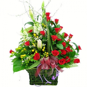 �󼼳��뺸��