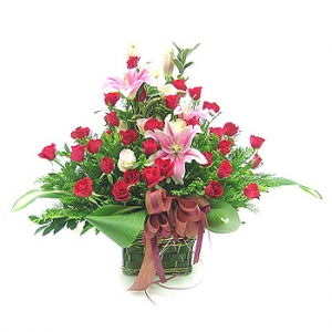 �󼼳��뺸��