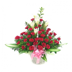 �󼼳��뺸��