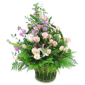 �󼼳��뺸��